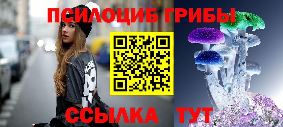Галлюциногенные грибы Psilocybine cubensis  Вход с VPN  Нововоронеж 
